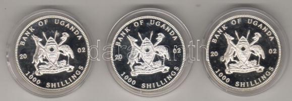 Uganda 2002. 1000Sh 3klf "Gorilla" motívum, 0,400 ezüst T:PP