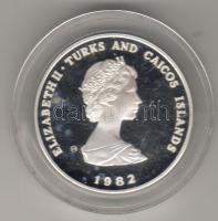 Turks&Caicos szigetek 1982. "Gyermekév" 10Cr ezüst T:PP