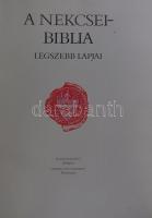 A Nekcsei-Biblia legszebb lapjai. A bevezetőt Dana J. Pratt, a képmagyarázatokat Levárdy Ferenc írta...