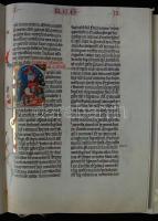 A Nekcsei-Biblia legszebb lapjai. A bevezetőt Dana J. Pratt, a képmagyarázatokat Levárdy Ferenc írta...