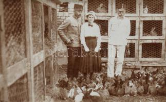 Komárom farm, rabbits, soldiers, photo