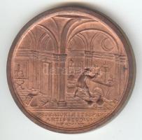 1969. "Vasipari Kutató Intézet - Budapest / 20 éves évforduló" Br emlékérem (45mm) T:2