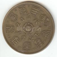 Csúcs Viktória (1934-) 1979. "Magyar Éremgyűjtők Egyesülete 1969-1979" Br emlékérem (42mm)...