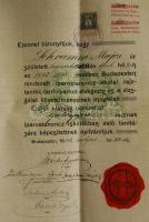 1903 Építőipari rajz iparostanonc oklevél szárazpecséttel és 1K okmánybélyeggel