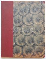 1931 Sági Sándor (1917-2007) anatómia tanulmányok és női akt ceruzarajzok Mongolfier France vízjeles...