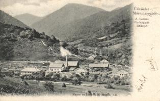 Batiza sawmill