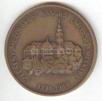 1984. "Szécsény mezővárosi rangra emelése emlékére 1334-1984 / Károly Róbert" Br emlékérem (42mm) T:1-