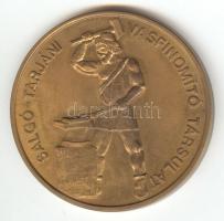 1993. "Salgó-Tarjáni Vasfinomító Társulat / Salgótarjáni Kohászati Üzemek 1868-1993" emlék...