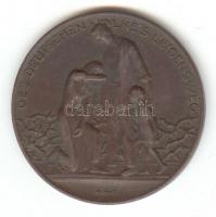 Német Birodalom/Weimari Köztársaság 1923. "A német nép szenvedése" Br emlékérem (32mmm) sz...