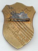 ~1930. IV. Ker. Áll. Keresk. Leányközépiskola zománcozott iskolajelvény T:2