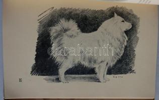 Dr. Kubinszky Ernő-Szél György - Őrzőnk, pajtásunk a kutya. Bp. 1948. Fráter ny. szövegközti képekke...