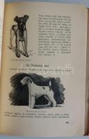 Dr. Kubinszky Ernő-Szél György - Őrzőnk, pajtásunk a kutya. Bp. 1948. Fráter ny. szövegközti képekke...