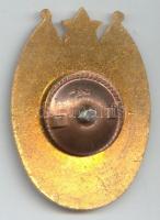 ~1970. "Kiváló Határőr" zománcozott jelvény dísztokban T:1