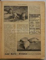 1924 A Képes Krónika II. félévi számai keménykötésbe kötve. Sok érdekes képpel, jó állapotban