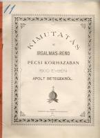 1901 Kimutatás az Irgalmas-rend pécsi kórházában 1900. évben ápolt betegekről; Taizs József nyomdája