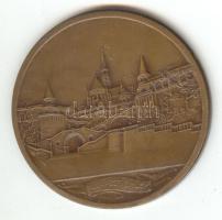 DN. "Budapesti Emlék" Br emlékérem (42mm) T:1-,2