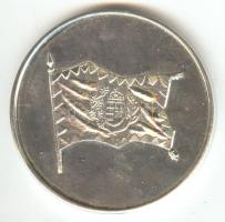 DN. "Székesfehérvár / MH Összhaderőnemi Parancsnokság" ezüstözött fém emlékérem (42mm) T:B...