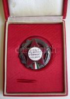 cca 1960. "Kiváló Földműves Szövetkezeti Dolgozó" kitüntetés dísztokban T:2