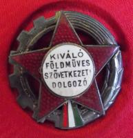 cca 1960. "Kiváló Földműves Szövetkezeti Dolgozó" kitüntetés dísztokban T:2