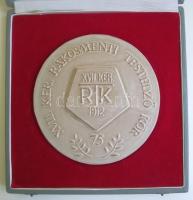 1982. 'XVII. Ker. Rákosmenti Testedző Kör 75 éves" nagyalakú kerámia plakett eredeti díszt...