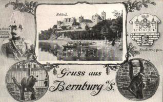 Bernburg Castle, Friedrich von Anhalt, crest of the city, bears