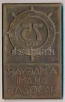 1970. "75 éves a Magyar Állami Hajózás" vékony Br plakett (48x78mm) T:2