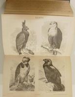 A Pallas Nagy Lexikona Az összes ismeretek enciklopédiája. 1–18. kötet pótkötetekkel (telj...