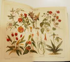 A Pallas Nagy Lexikona Az összes ismeretek enciklopédiája. 1–18. kötet pótkötetekkel (telj...