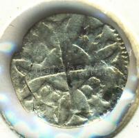 1387-1437 (1387-1427) Parvus Ag "Zsigmond" (0,22g) T:2-
Huszár 580.,Unger I.: 451.a