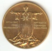 Kiss György (1943-) 1991. "II.János Pál pápa látogatása - Esztergom" aranyozott Br emlékér...