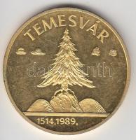 1989. "Temesvár - Erdély" aranyozott emlékérem (d=42mm) T:PP
