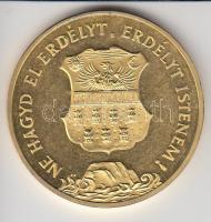 1989. "Temesvár - Erdély" aranyozott emlékérem (d=42mm) T:PP
