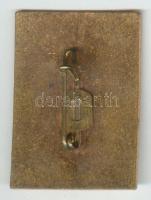 Románia "Dés" zománcozott jelvény a város címerével T:2
Romania "Dej" enamelled ...