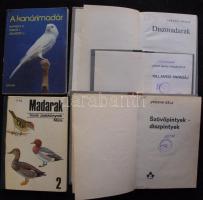 5db díszmadarakról szóló könyv: A kanárimadár, A hullámos papagáj, Szövőpintyek - díszpintyek, stb.