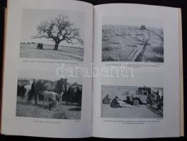 A Magyar Földrajzi Társaság Könyvtára: Sven hedin: A selyem útja 61 képpel: Bp. é.n. Franklin. 272 l...