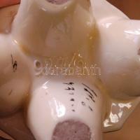 cca 1900 Kézzel festett szecessziós majolika vázapár alig észrevehető sérülésekkel (kis lepattogzás,...