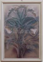 Madváry jelzéssel: Álom zöldben, reprodukció üvegezett keretben 29x44cm