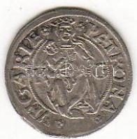 II. Ulászló 1490-1516 Denár ezüst ÉH 646b T:2