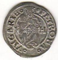 II. Ulászló 1507. Denár ezüst T:3