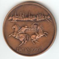 Lapis András (1942-) 1986. "MÉE XVI. Vándorgyűlés / Buda visszafoglalásának 300. évfordulója&qu...