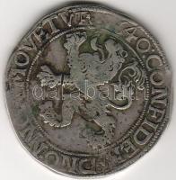 Hollandia/Friesland 1640. "Löwen-Daalder" ezüst T:4-