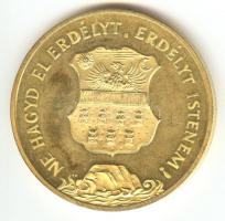 1989. "Temesvár - Erdély" aranyozott emlékérem (d=42mm) T:exPP ph