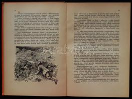 Nozdroviczky Lajos Vadászemlékeim. Bp., 1930, Stádium. 133, [3] l., 5 t. Szövegközti rajzokkal. Kiad...