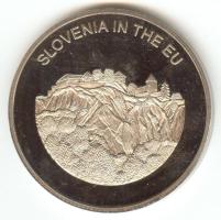 Máltai Lovagrend 2004. 100L "Szlovénia az EU-ban" T:PP Sovereign Order of Malta 2004. 100 Liras "Slovenia in the EU" C:PP