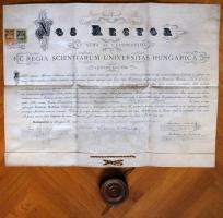 1902 Orvosi diploma pergamenpapírból Lenhossék Mihály aláírásával, okmánybélyegekkel és ép viaszpecséttel 50x66cm