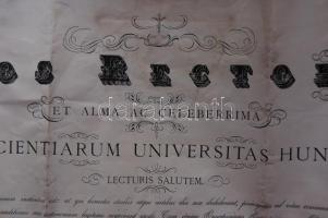 1902 Orvosi diploma pergamenpapírból Lenhossék Mihály aláírásával, okmánybélyegekkel és ép viaszpecs...