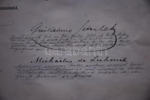 1902 Orvosi diploma pergamenpapírból Lenhossék Mihály aláírásával, okmánybélyegekkel és ép viaszpecs...