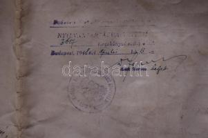 1902 Orvosi diploma pergamenpapírból Lenhossék Mihály aláírásával, okmánybélyegekkel és ép viaszpecs...