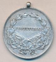 1917. Ezüst Vitézségi Érem "Fortitudini / IV. Károly" mellszalag nélkül Szign.: Kautsch (4...