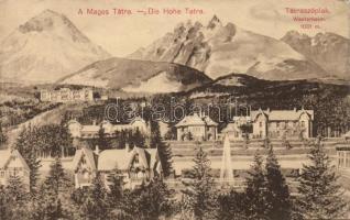 TÁTRA - 11 db háború előtti képeslap, nagyrészt sérültek